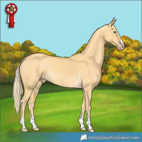 Horse Color:Gold Cream Champagne Dun 