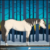 Horse Color:Buckskin Dun Rabicano