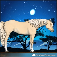 Horse Color:Palomino Dun Tobiano