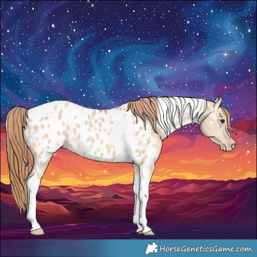 Horse Color:Red Dun Tobiano Near Leopard 