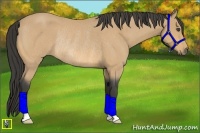 Horse Color:Buckskin Roan Rabicano 