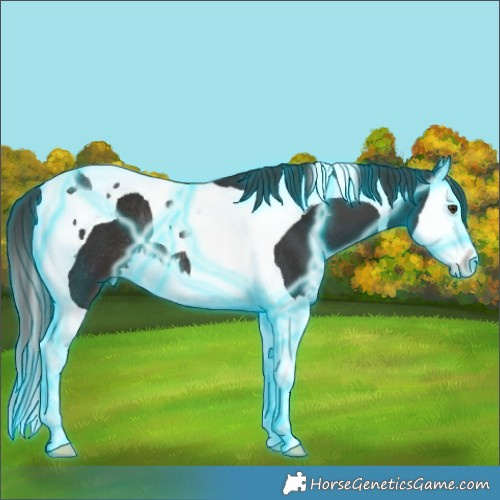 Horse Color:Thunderstruck Liver Chestnut Splash Tobiano Rabicano 
