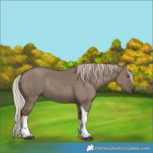 Horse Color:Silver Grullo Tobiano Rabicano Brindle 