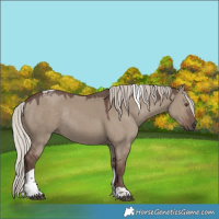 Horse Color:Silver Grullo Tobiano Rabicano 