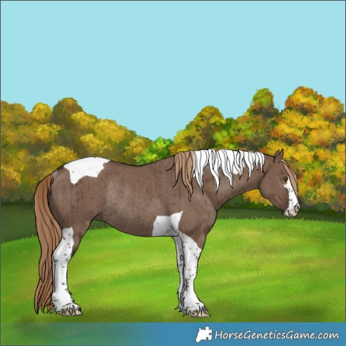 Horse Color:Liver Red Dun Tobiano Rabicano Brindle 