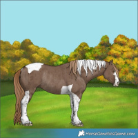 Horse Color:Liver Red Dun Tobiano Rabicano Brindle
