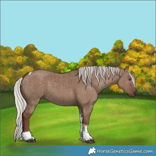 Horse Color:Silver Grullo Tobiano Brindle 