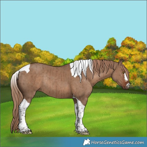 Horse Color:Liver Red Dun Tobiano Rabicano Brindle 