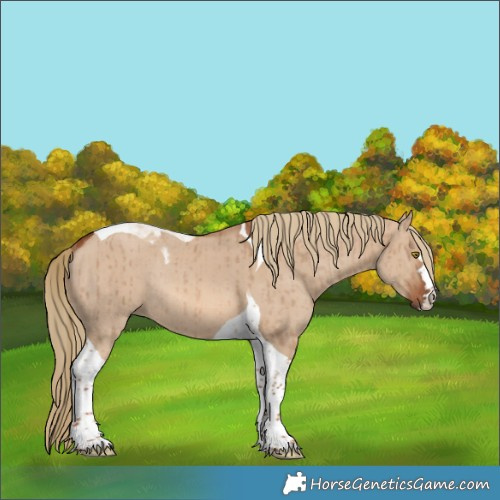Horse Color:Red Dun Tobiano Rabicano Brindle