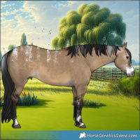 Horse Color:Powder White Gray Brown Dun 