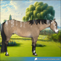 Horse Color:Powder White Gray Brown Dun 