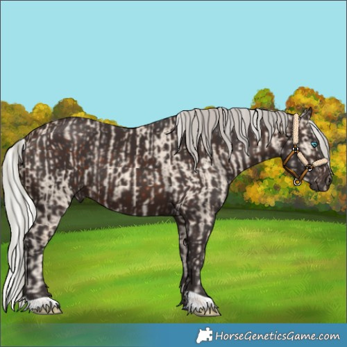Horse Color:Silver Perlino Dun  and Silver Brown 