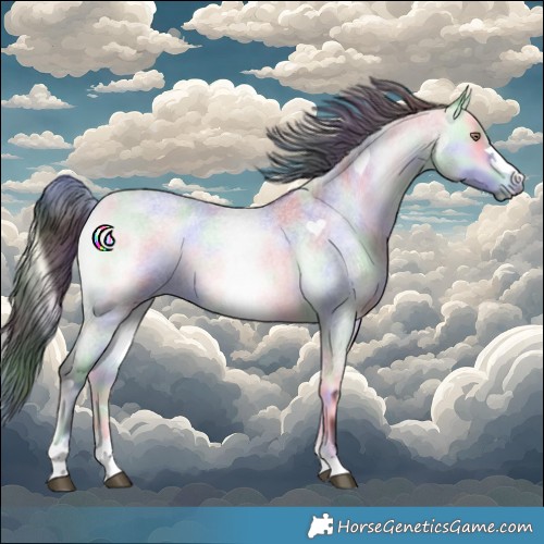 Horse Color:Nacre Bay Chinchilla Roan Onyx 