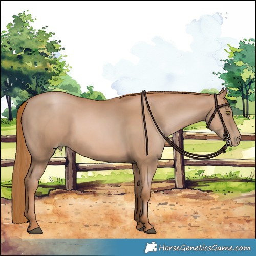 Horse Color:Chestnut Pearl 