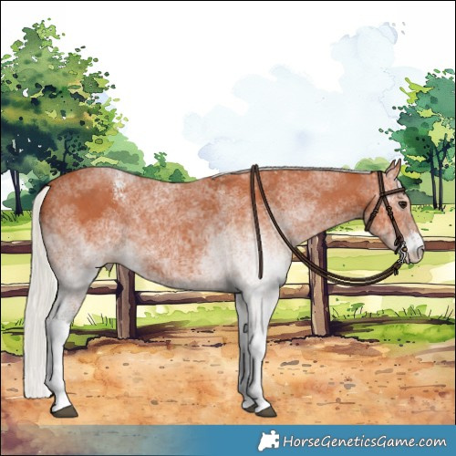 Horse Color:White Spotted Silver Bay 
