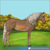 Horse Color:Chocolate Palomino