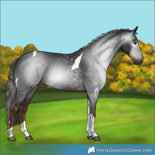 Horse Color:Gray Liver Chestnut Tobiano 