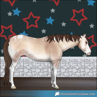 Horse Color:Amber Champagne Ice Onyx Sabino Tobiano 