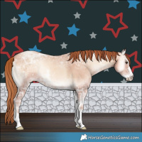 Horse Color:Gold Champagne Ice Onyx Sabino 