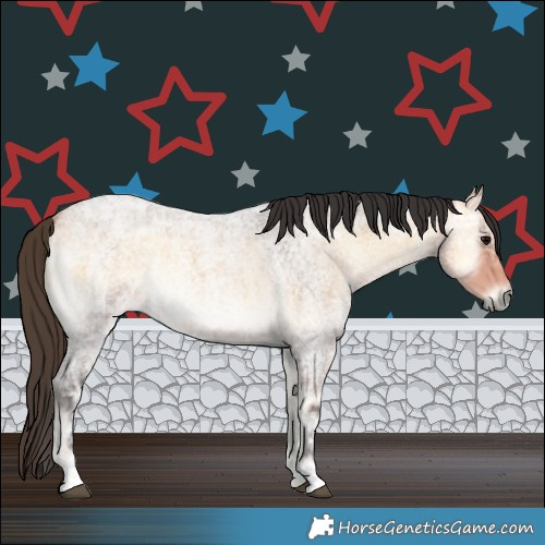 Horse Color:Buckskin Ice Roan Onyx