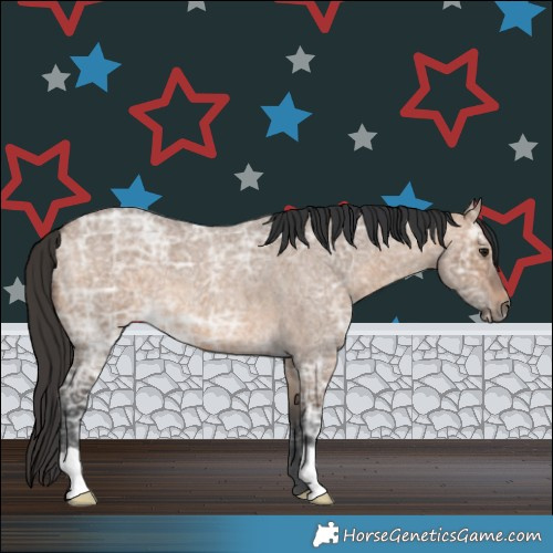 Horse Color:Brown Ice Roan Dun 