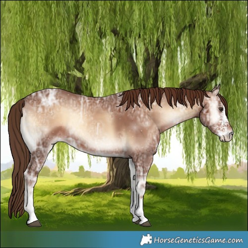 Horse Color:Red Onyx Ice Sabino 