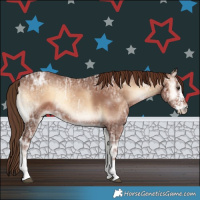 Horse Color:Red Onyx Ice Sabino 