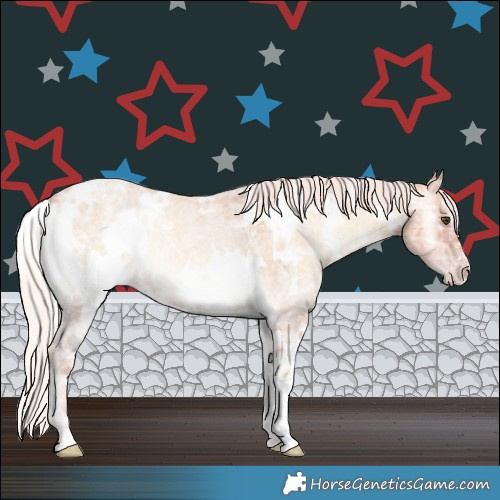 Horse Color:White Spotted Silver Amber Champagne Ice Roan Onyx Rabicano