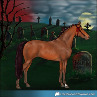 Horse Color:Silver Bay 