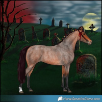 Horse Color:Bay Roan 