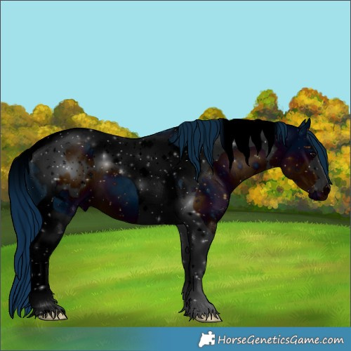 Horse Color:ERROR: UNKNOWN ANOMALY