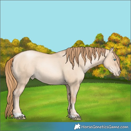 Horse Color:Gold Champagne Pearl Dun Rabicano and Gold Champagne Pearl Dun Rabicano