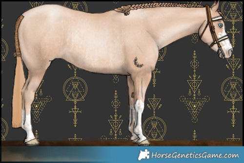 Horse Color:Gold Champagne Pearl Rabicano  and Gold Champagne Pearl Rabicano 
