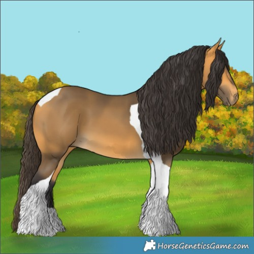 Horse Color:Buckskin Tobiano 