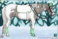 Horse Color:Silver Blue Roan Splash Tobiano Frame 