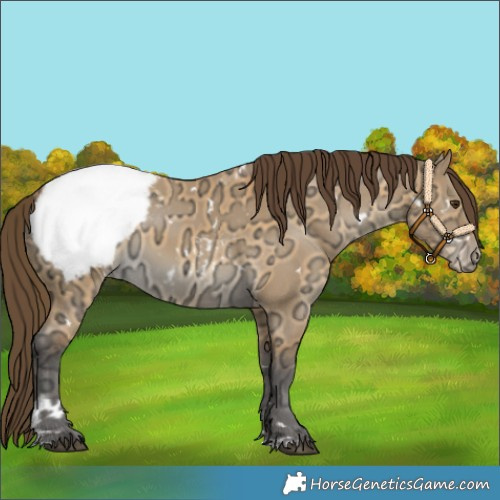 Horse Color:White Spotted Buckskin Ice Dun Snowcap 