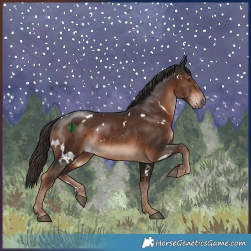 Horse Color:White Spotted Liver Chestnut Rabicano 