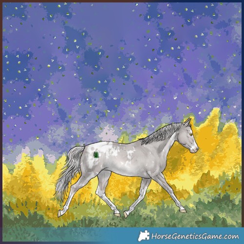 Horse Color:Platinum White Spotted Chocolate Palomino Dun Splash Appaloosa Rabicano