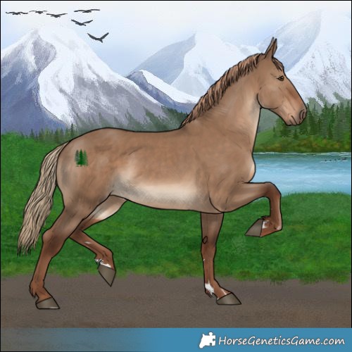 Horse Color:Liver Red Dun 