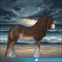 Horse Color:White Spotted Liver Chestnut Rabicano 