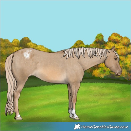 Horse Color:Chocolate Palomino Dun Varnish 