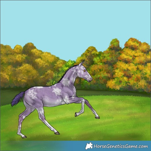 Horse Color:Watercolor Liver Red Dun Ice Tobiano Brindle 