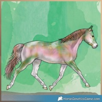 Horse Color:Watercolor Plaid  Liver Red Onyx Tobiano 