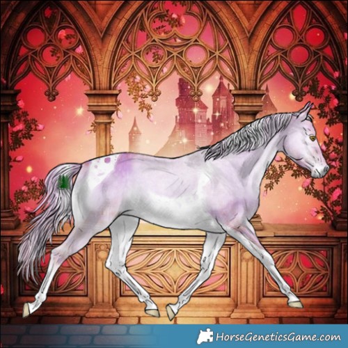 Horse Color:Watercolor Plaid  Chocolate Palomino Onyx Tobiano Brindle 