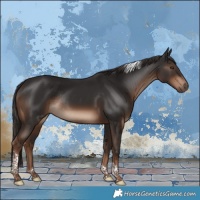 Horse Color:Liver Chestnut Tobiano Rabicano 