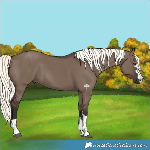 Horse Color:Liver Red Dun Mushroom