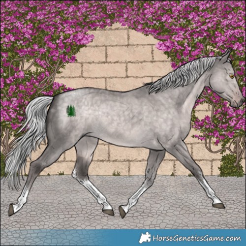 Horse Color:Platinum White Spotted Chocolate Palomino Dun Tobiano Rabicano 