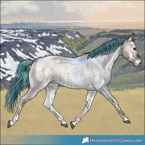 Horse Color:Painted Plaid  Liver Red Dun Roan Onyx Tobiano Rabicano Brindle 