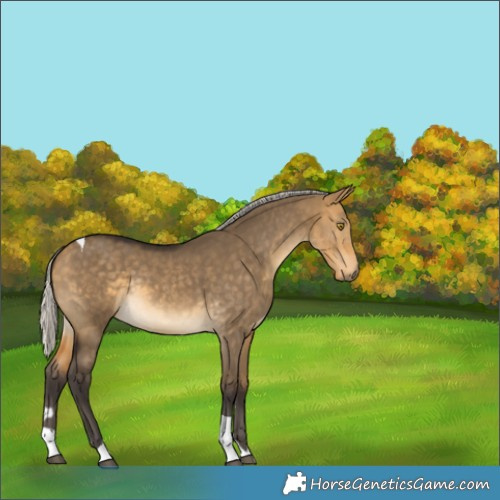 Horse Color:Silver Buckskin Dun Tobiano Rabicano 