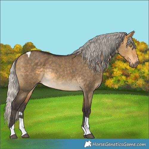 Horse Color:Silver Buckskin Dun Tobiano Rabicano 